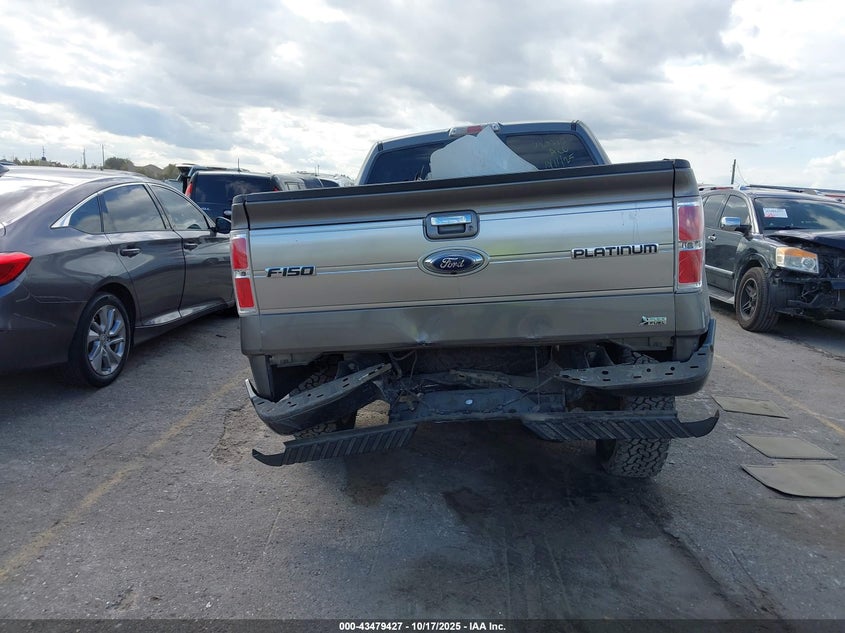 2010 Ford F-150 Fx4/Harley-Davidson/King Ranch/Lariat/Platinum/Xl/Xlt VIN: 1FTFW1EV3AFA13990 Lot: 43479427