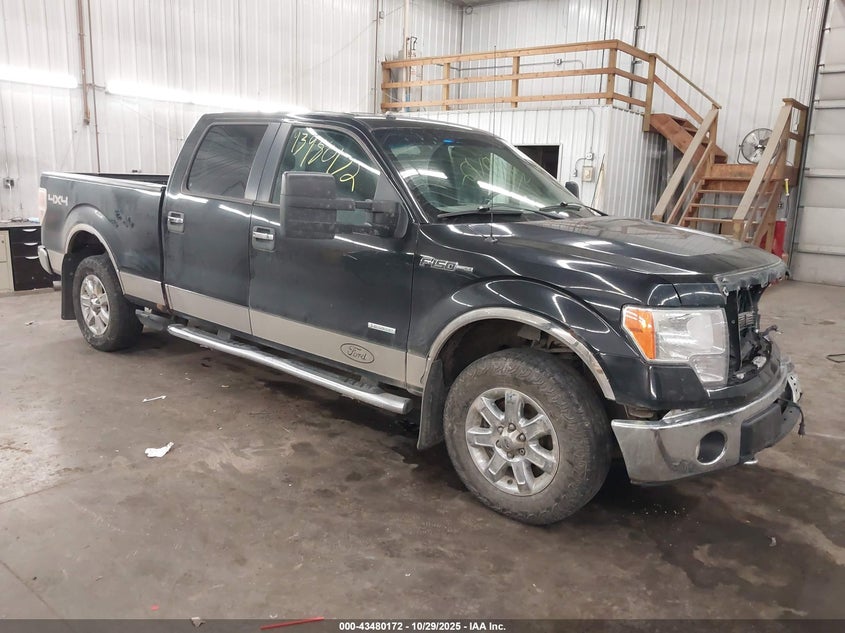 FORD F-150 XLT