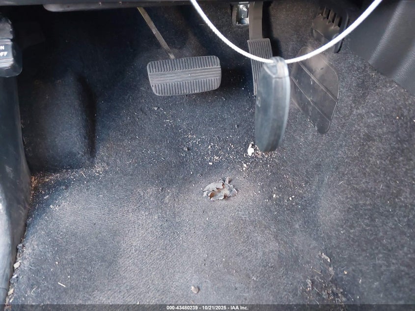 1N6ED1CM4RN607952 2024 NISSAN NAVARA (FRONTIER) photo no. 11