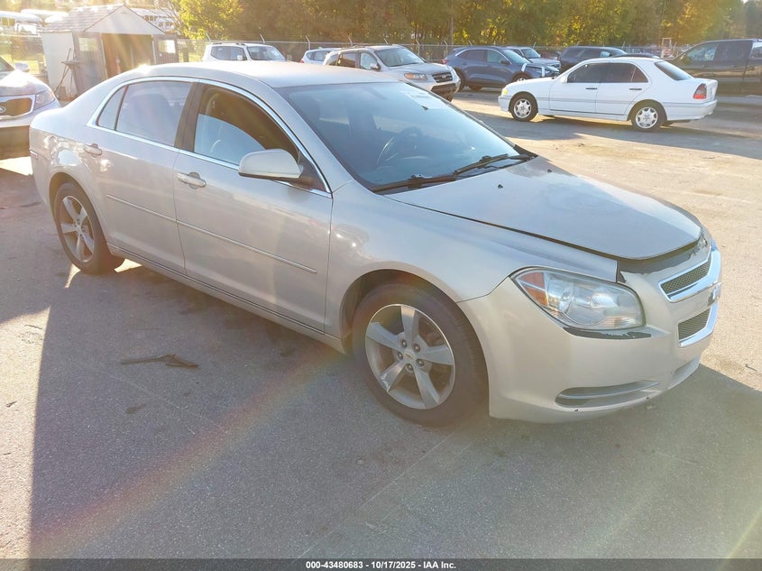 CHEVROLET MALIBU 1LT