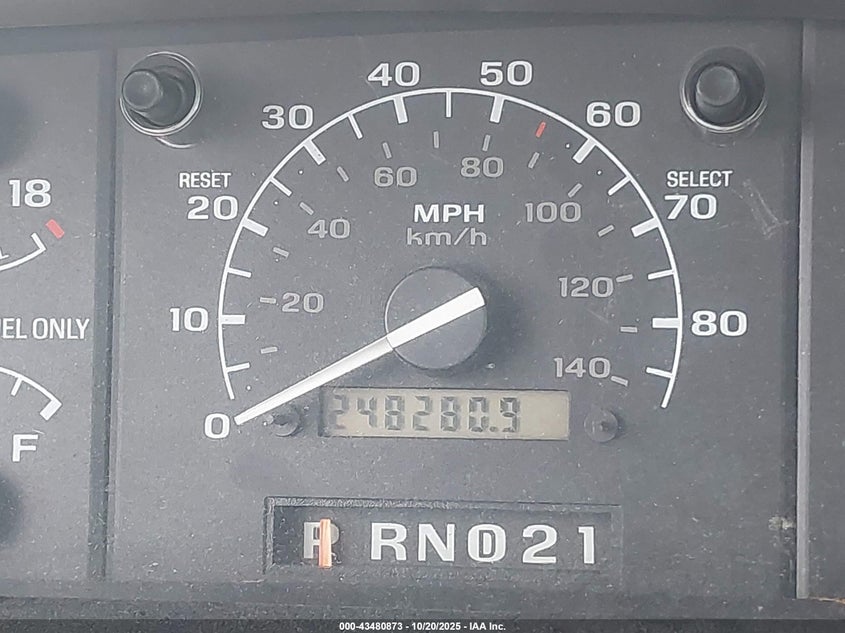 1994 Ford F150 VIN: 1FTEF14N3RLB19205 Lot: 43480873