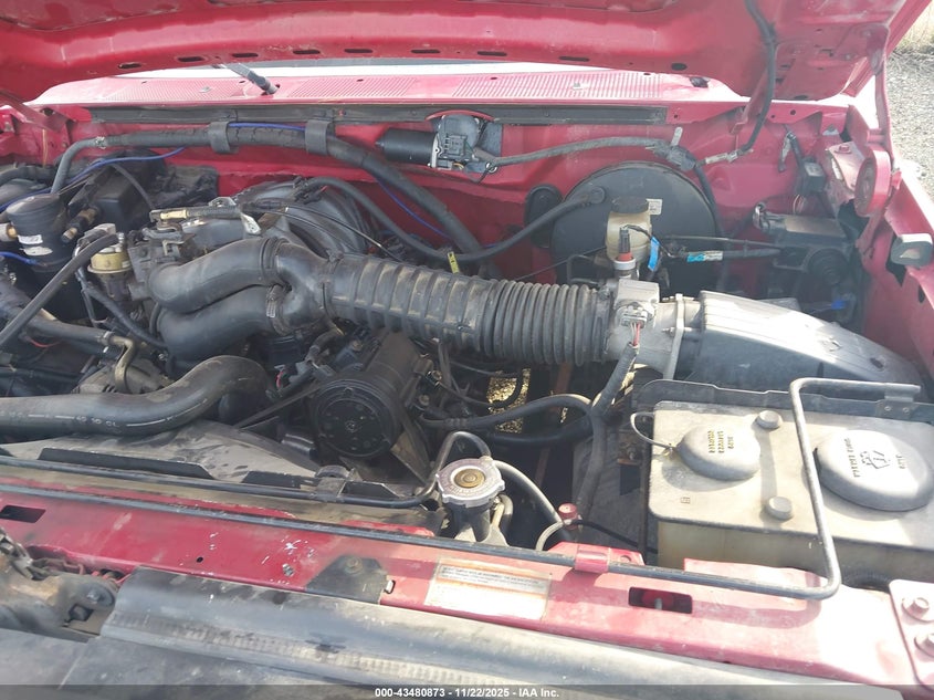 1994 Ford F150 VIN: 1FTEF14N3RLB19205 Lot: 43480873