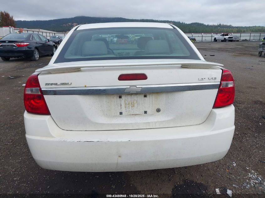 2005 Chevrolet Malibu Ls VIN: 1G1ZT54865F216508 Lot: 43480948