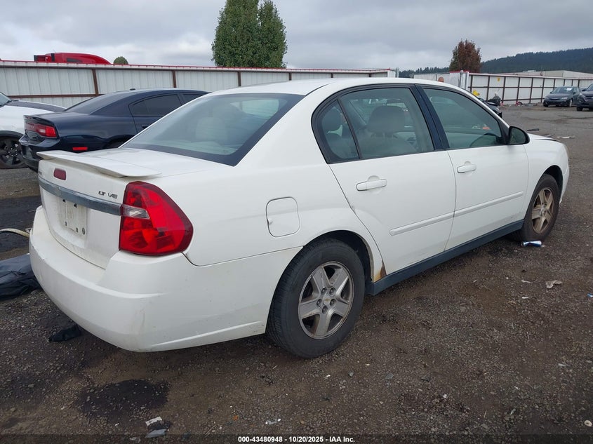 1G1ZT54865F216508 2005 CHEVROLET MALIBU photo no. 4