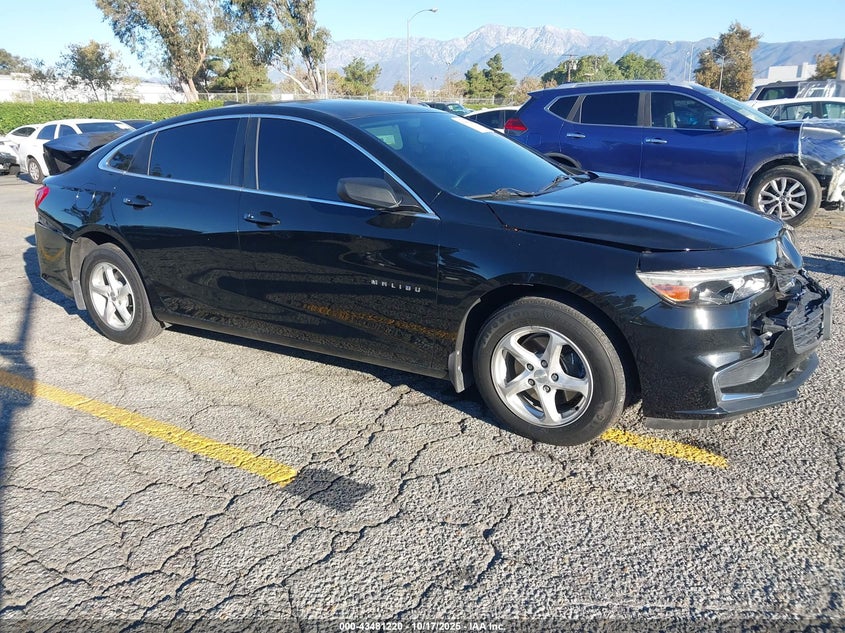 CHEVROLET MALIBU 1LS