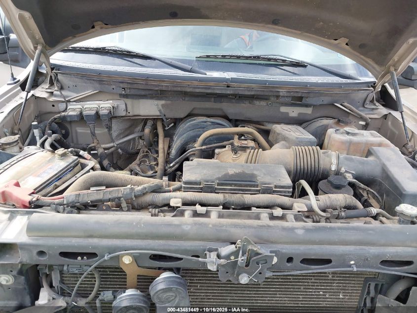 2010 Ford F-150 Fx2 Sport/Stx/Xl/Xlt VIN: 1FTEX1C89AKE69537 Lot: 43481449