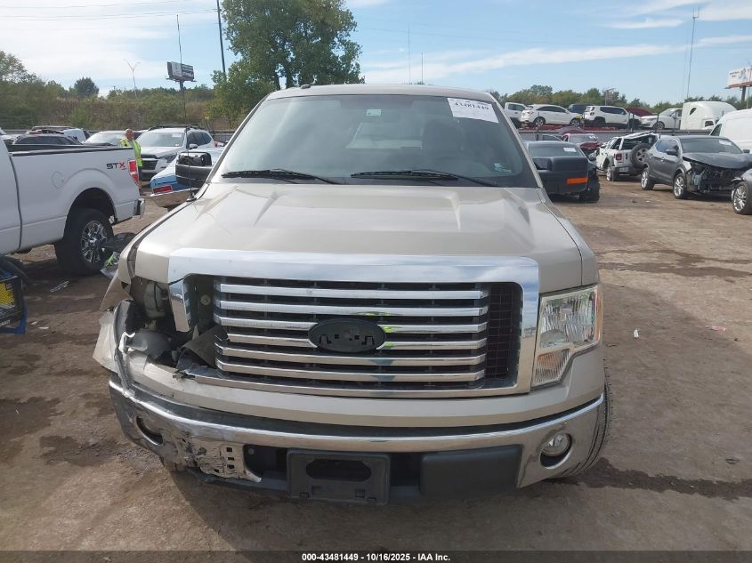 2010 Ford F-150 Fx2 Sport/Stx/Xl/Xlt VIN: 1FTEX1C89AKE69537 Lot: 43481449