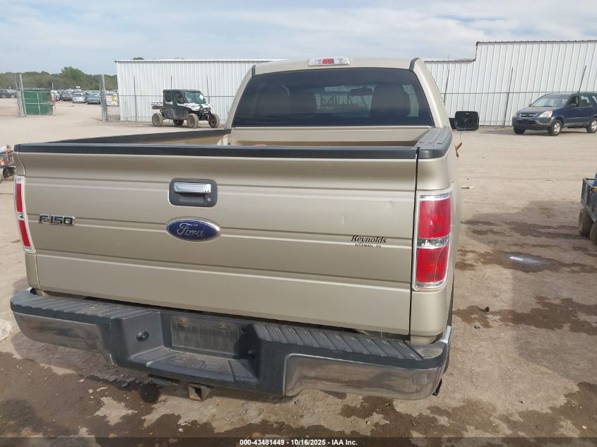 2010 Ford F-150 Fx2 Sport/Stx/Xl/Xlt VIN: 1FTEX1C89AKE69537 Lot: 43481449