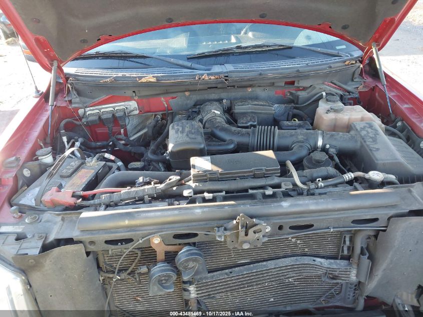 2010 Ford F-150 Fx4/Lariat/Xl/Xlt VIN: 1FTFX1EV9AFB75233 Lot: 43481469