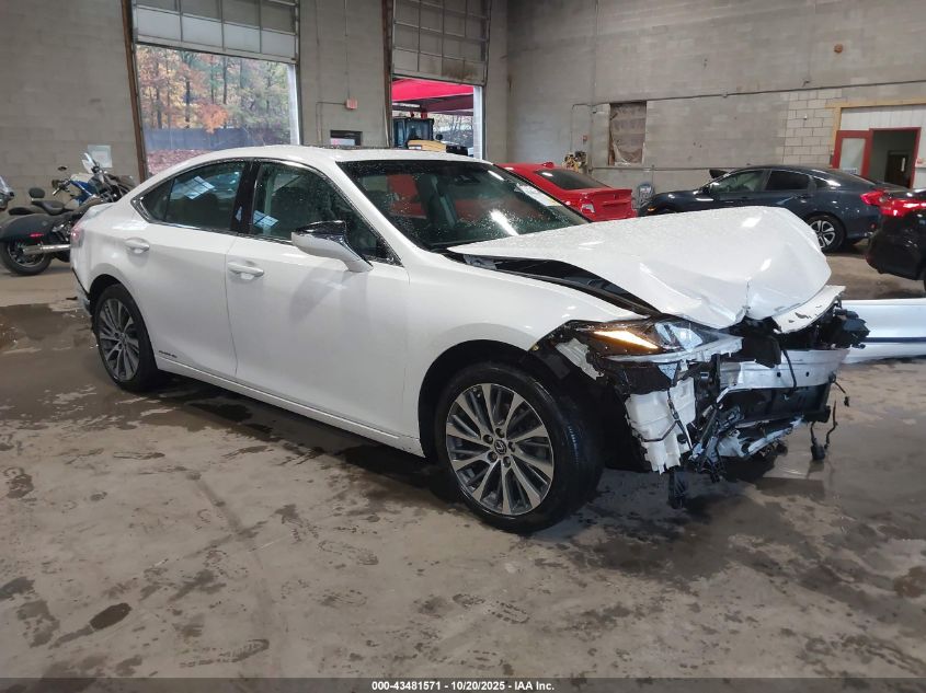 2021 LEXUS ES 300H - 58ADA1C14MU012406