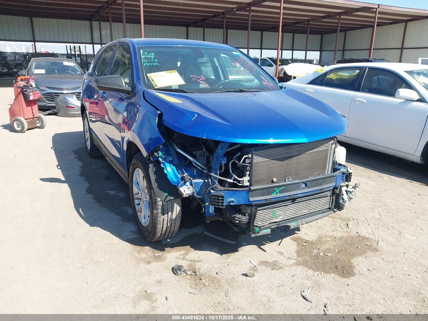 2019 CHEVROLET EQUINOX LS - 3GNAXHEV5KS611809