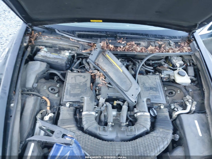 JTHBL46F485069466 2008 LEXUS LS photo no. 10