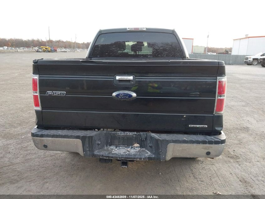 2014 Ford F-150 Xlt VIN: 1FTFW1EF7EFA33318 Lot: 43482809