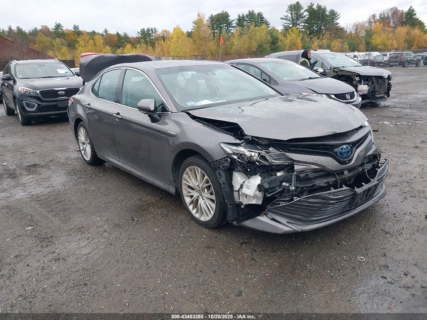 TOYOTA CAMRY HYBRID XLE HYBRID