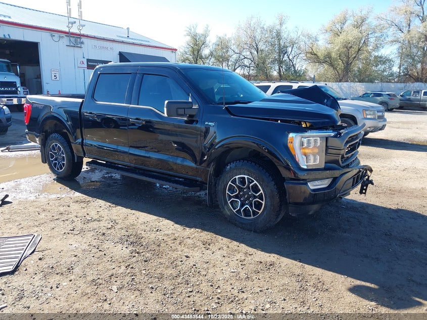 FORD F-150 XLT
