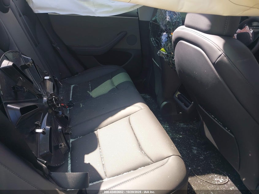 2025 Tesla Model 3 Long Range Rear-Wheel Drive VIN: 5YJ3E1EA1SF013401 Lot: 43483652