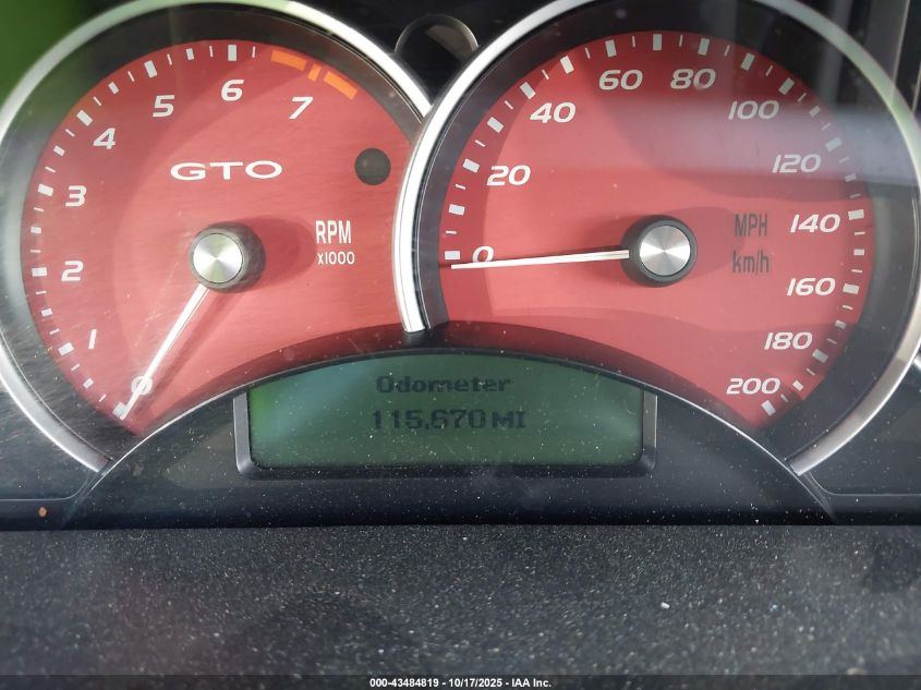 2006 Pontiac Gto VIN: 6G2VX12U96L557186 Lot: 43484819