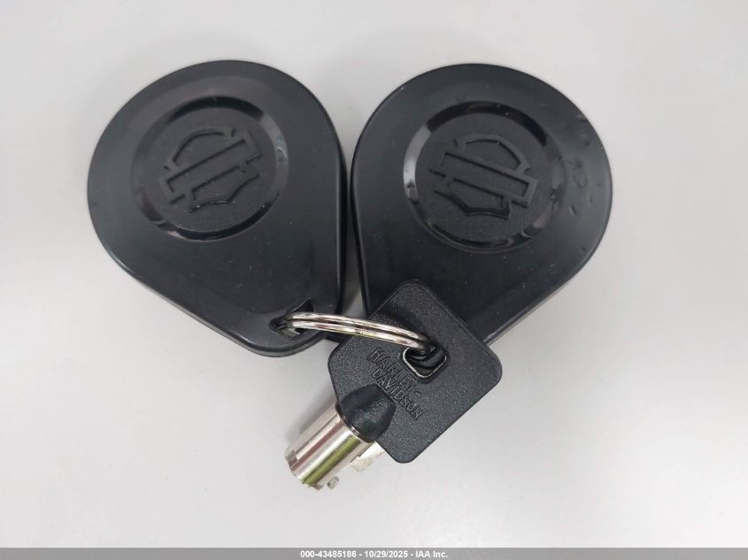 2021 Harley-Davidson Fltrxs VIN: 1HD1KTP14MB671808 Lot: 43485186