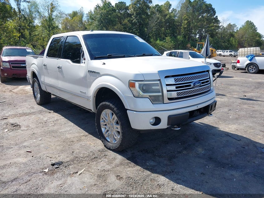 FORD F-150 PLATINUM