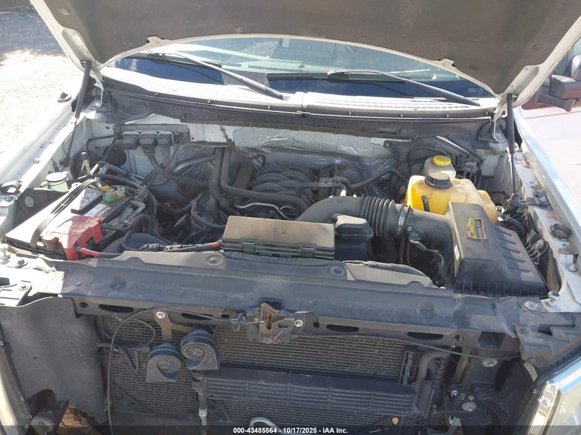 2014 FORD F-150 XLT 1FTFW1EF6EKF88252