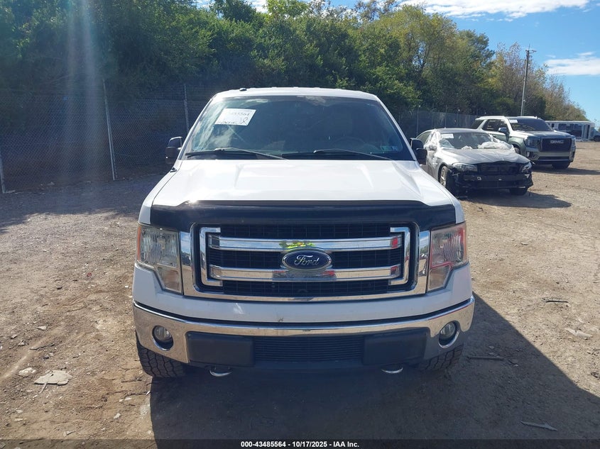 2014 FORD F-150 XLT 1FTFW1EF6EKF88252