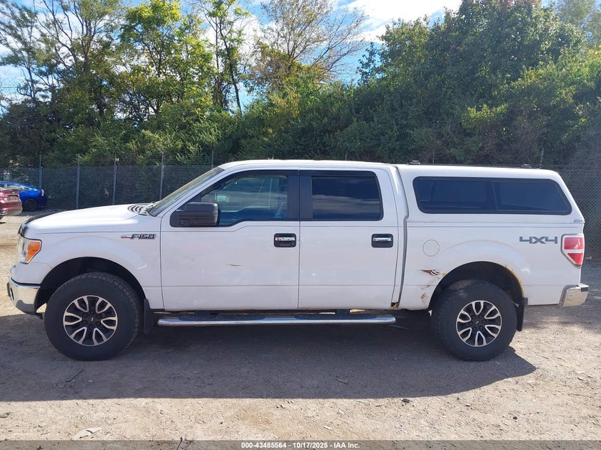 2014 FORD F-150 XLT 1FTFW1EF6EKF88252