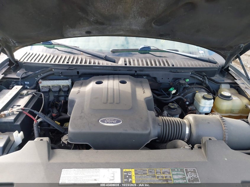 1FMPU16W73LC48393 2003 FORD EXPEDITION photo no. 10