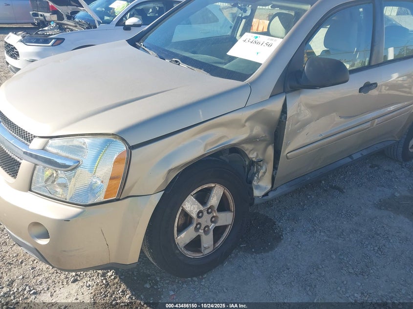 2008 Chevrolet Equinox Ls VIN: 2CNDL23F986317407 Lot: 43486150