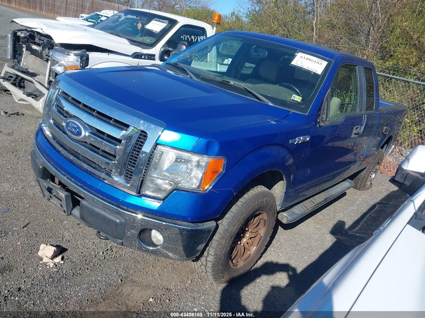1FTEX1E84AFD10446 2010 FORD F-150 photo no. 2