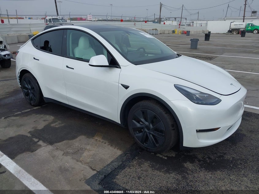 2024 TESLA MODEL Y LONG RANGE DUAL MOTOR ALL-WHEEL DRIVE - 7SAYGAEE4RF206674