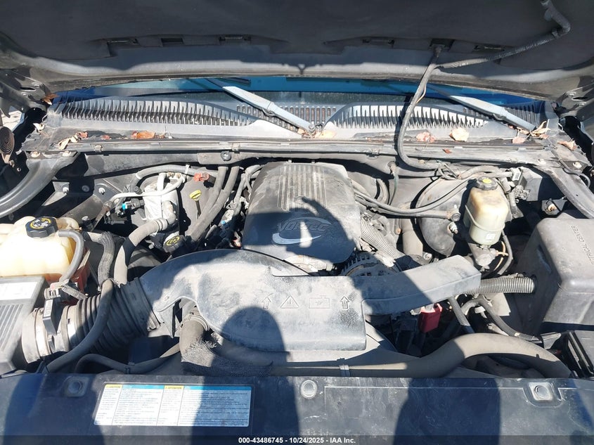 2002 Chevrolet Avalanche 1500 VIN: 3GNEK13T82G301245 Lot: 43486745