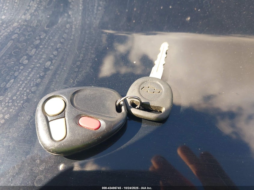 2002 Chevrolet Avalanche 1500 VIN: 3GNEK13T82G301245 Lot: 43486745