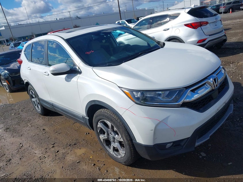 2019 HONDA CR-V EX - 2HKRW2H55KH641359