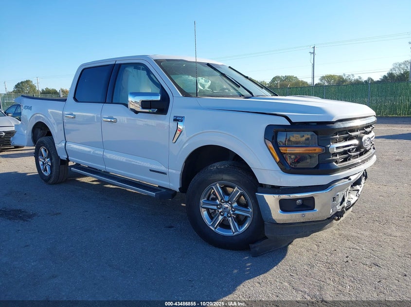 2024 FORD F-150 XLT - 1FTFW3LD0RFA21076