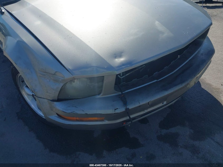 2008 Ford Mustang V6 Deluxe/V6 Premium VIN: 1ZVHT80N785195661 Lot: 43487380