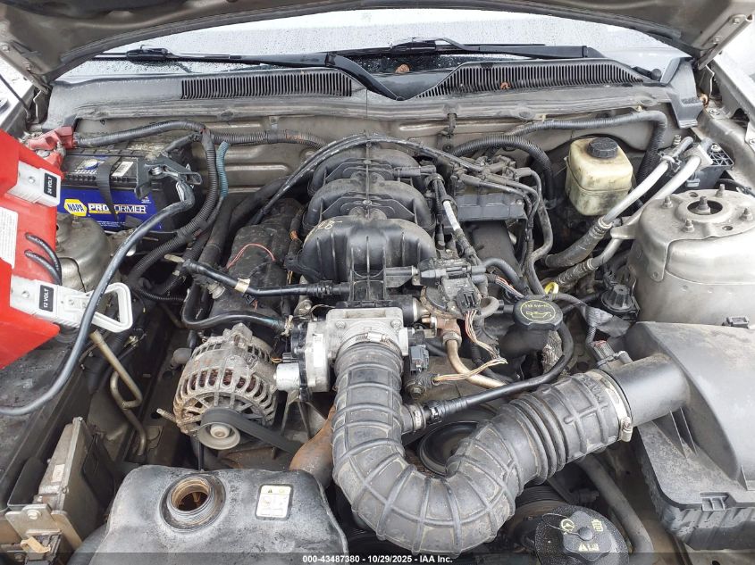 2008 Ford Mustang V6 Deluxe/V6 Premium VIN: 1ZVHT80N785195661 Lot: 43487380