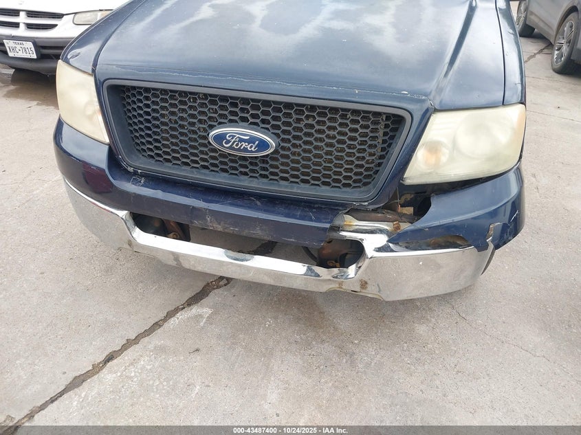 2004 Ford F-150 Stx/Xl/Xlt VIN: 1FTRX12W94NA21061 Lot: 43487400