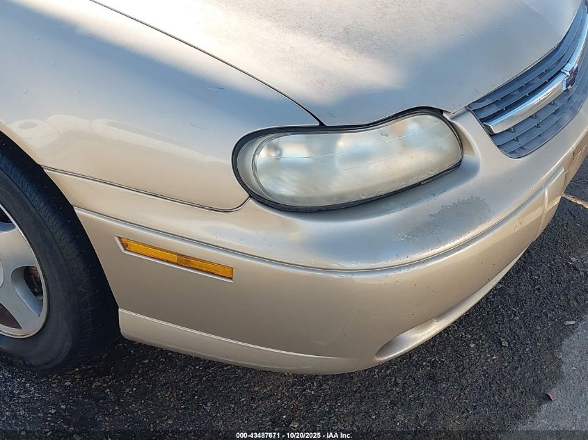 2005 Chevrolet Classic VIN: 1G1ND52F55M203306 Lot: 43487671