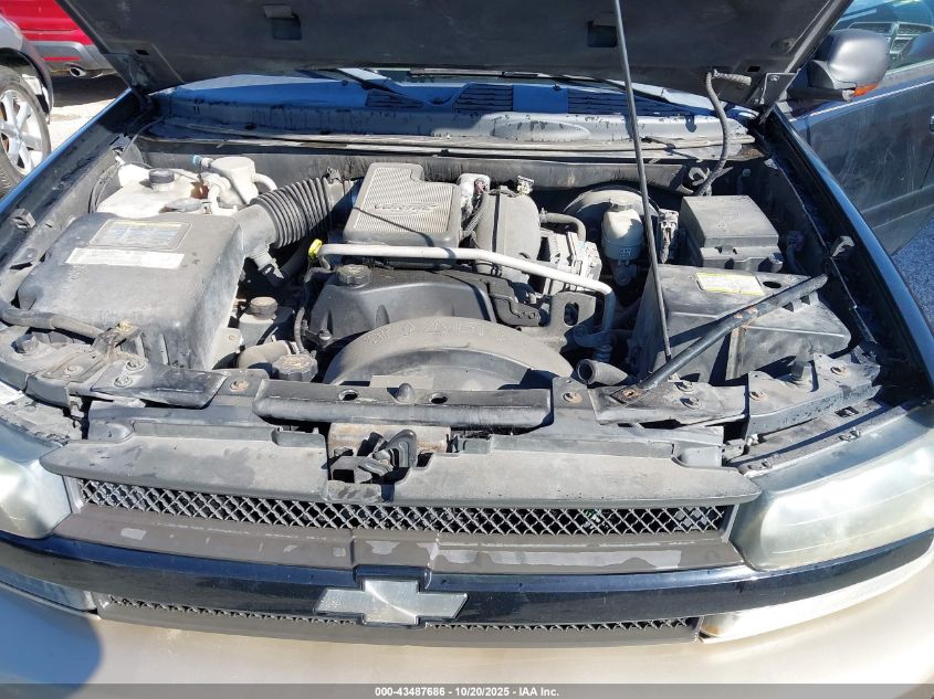 2004 Chevrolet Trailblazer Lt VIN: 1GNDT13S342422423 Lot: 43487686