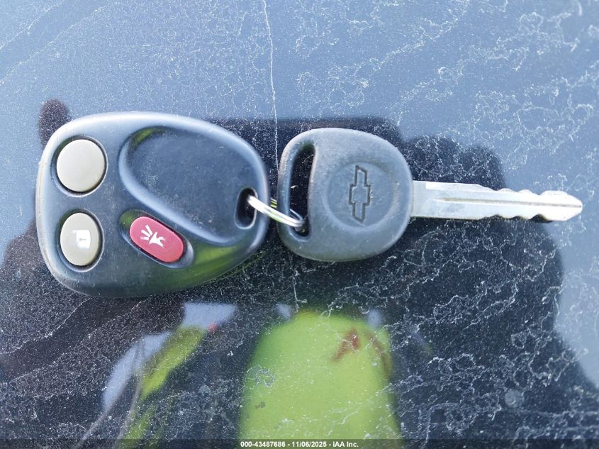 2004 Chevrolet Trailblazer Lt VIN: 1GNDT13S342422423 Lot: 43487686