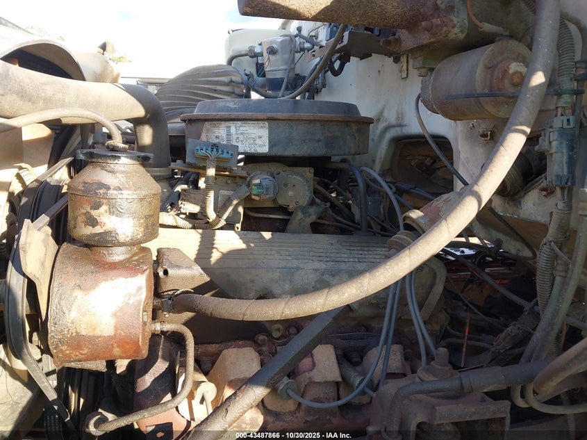 1GBJ7H1P9WJ101166 1998 CHEVROLET C/K photo no. 10