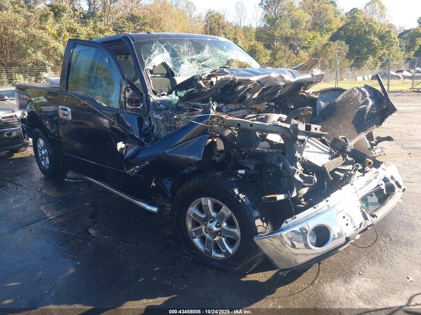 2013 FORD F-150 XLT - 1FTFX1ET7DFE09288