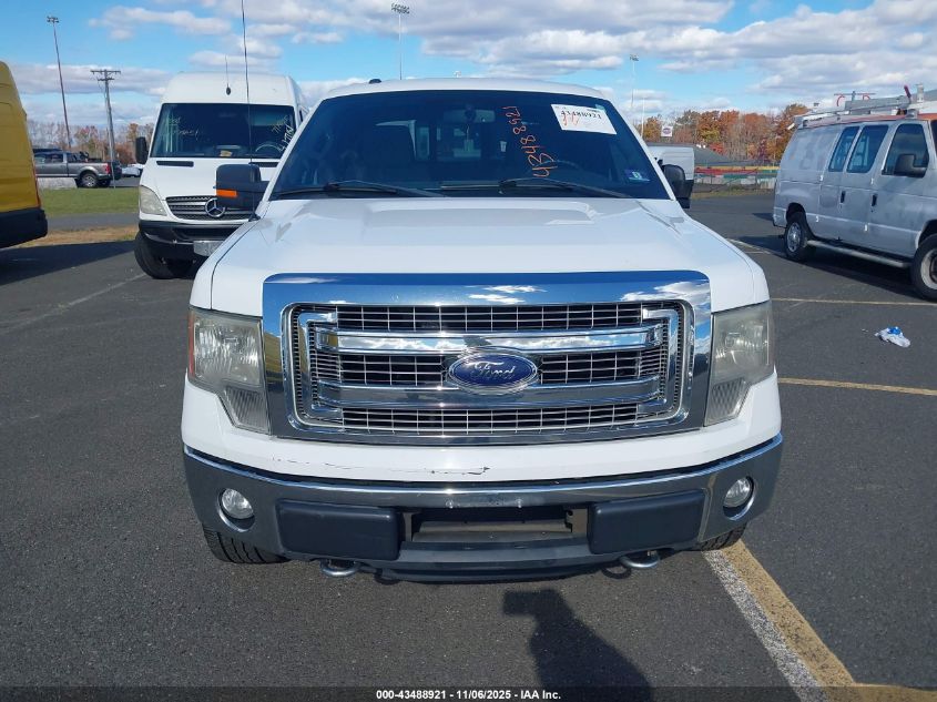 2014 Ford F-150 Xlt VIN: 1FTFW1EF3EKG25421 Lot: 43488921