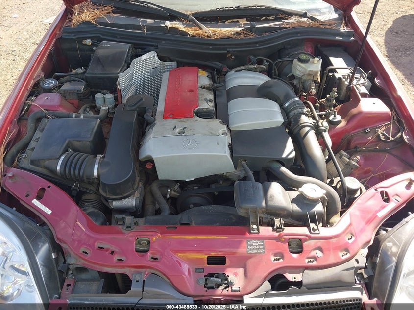 WDBKK49F31F203625 2001 MERCEDES-BENZ SLK-KLASSE photo no. 10