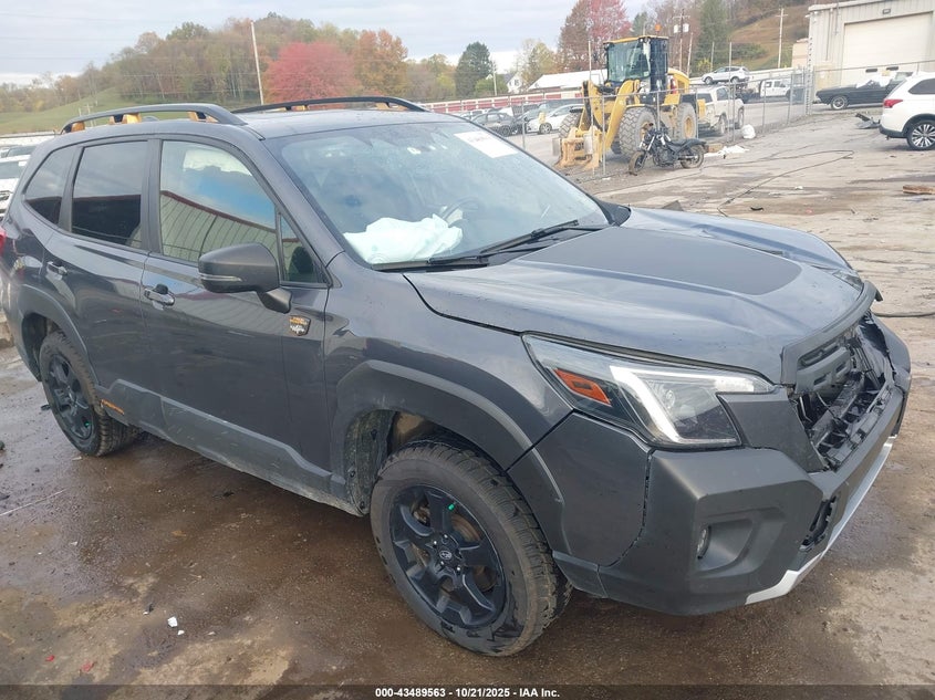 SUBARU FORESTER WILDERNESS
