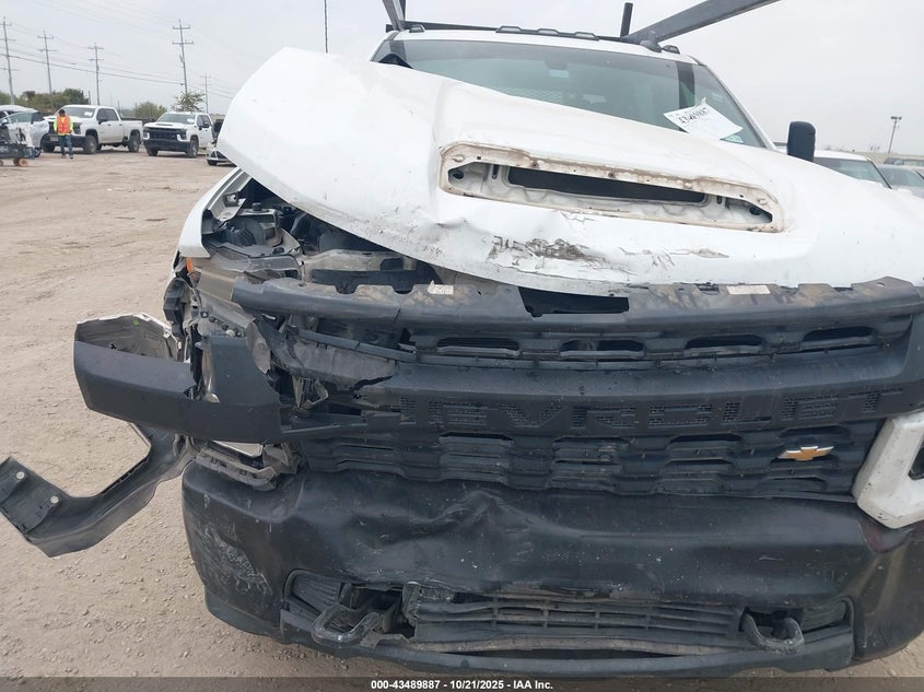 1GC4YLE78LF163059 2020 CHEVROLET SILVERADO photo no. 6