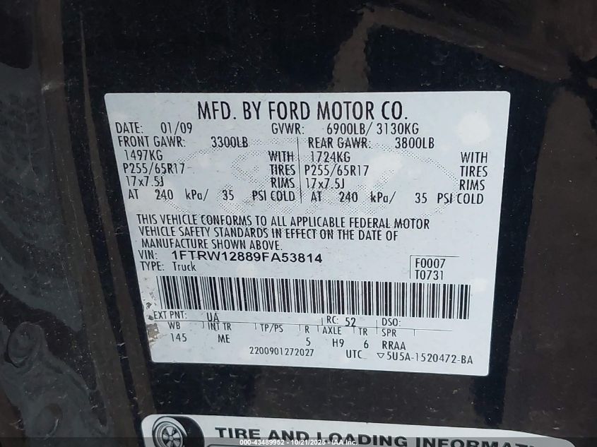 2009 Ford F-150 Xl/Xlt VIN: 1FTRW12889FA53814 Lot: 43489952