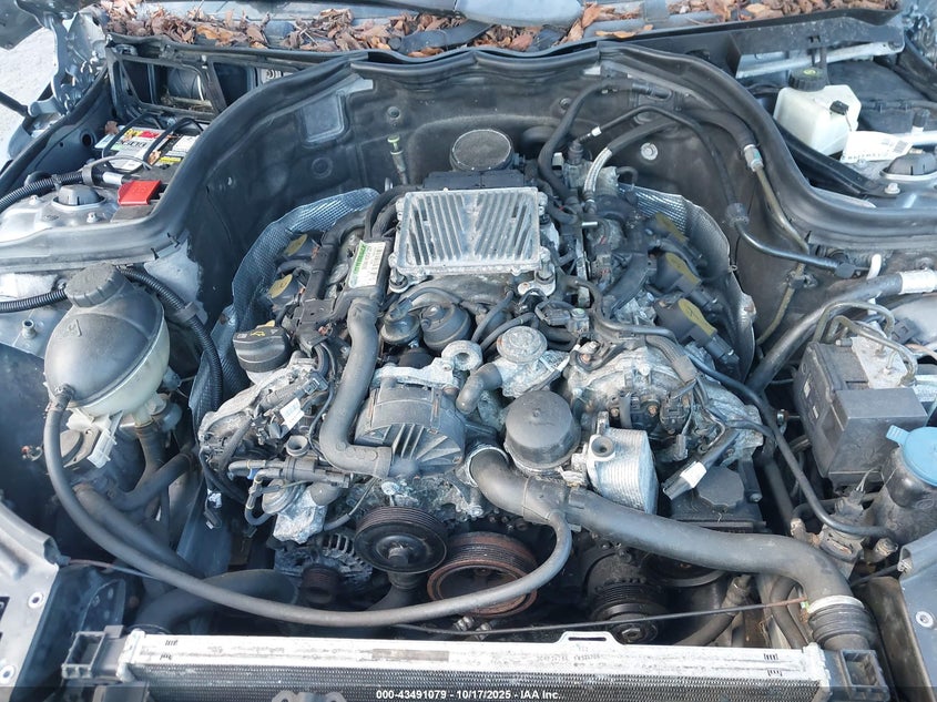 2009 Mercedes-Benz C 300 Luxury 4Matic VIN: WDDGF81X29R056723 Lot: 43491079