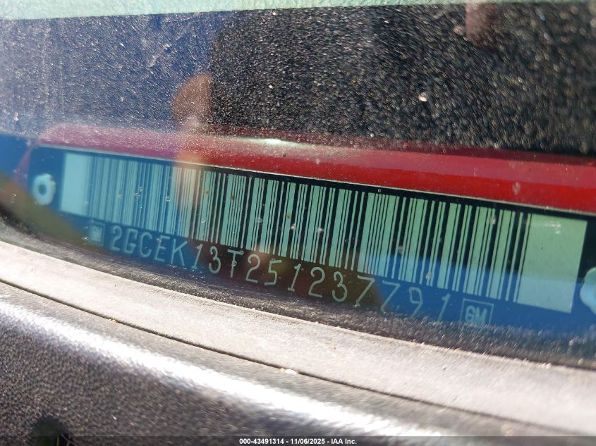 2005 Chevrolet Silverado 1500 Z71 VIN: 2GCEK13T251237791 Lot: 43491314