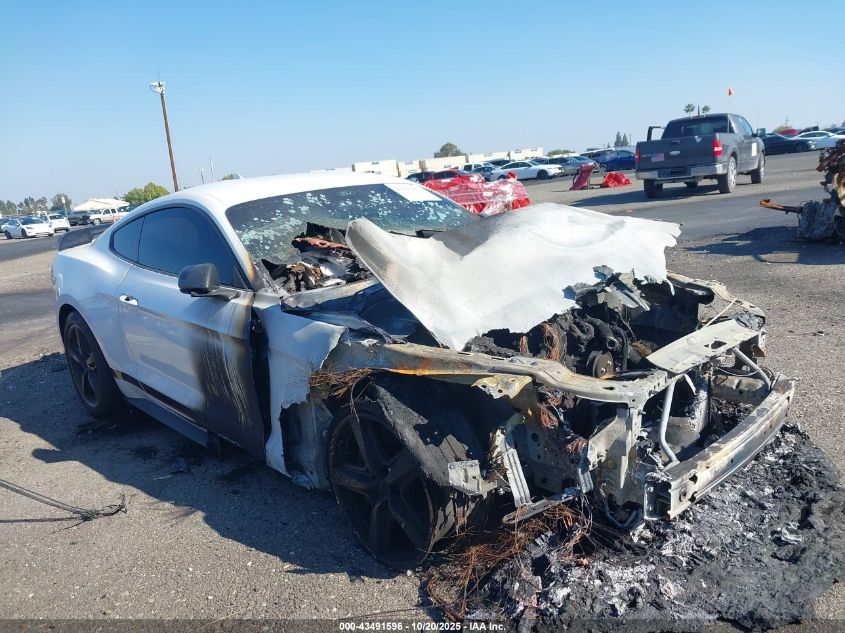 FORD MUSTANG MACH 1 FASTBACK